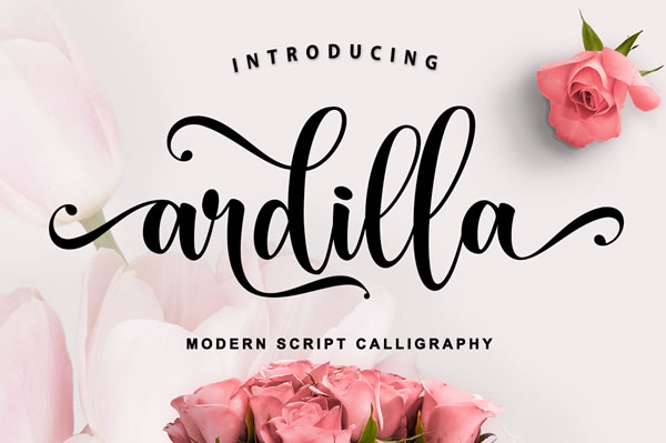 Discover the Charm of Ardilla Font for Your Designs