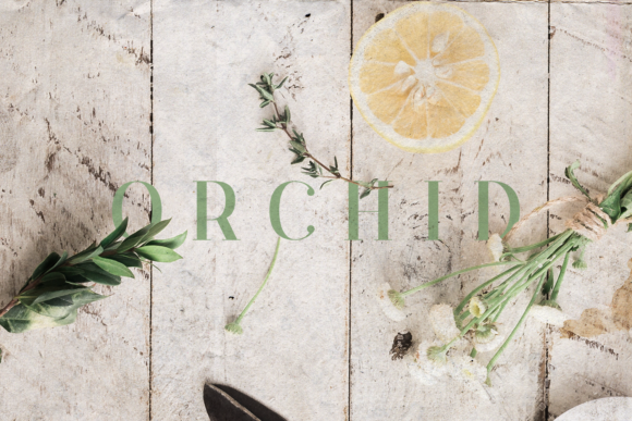 Orchid: An Elegant Serif Font for Every Project